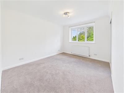 Picture 24